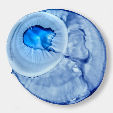 Untitled (Blue Eyeball)